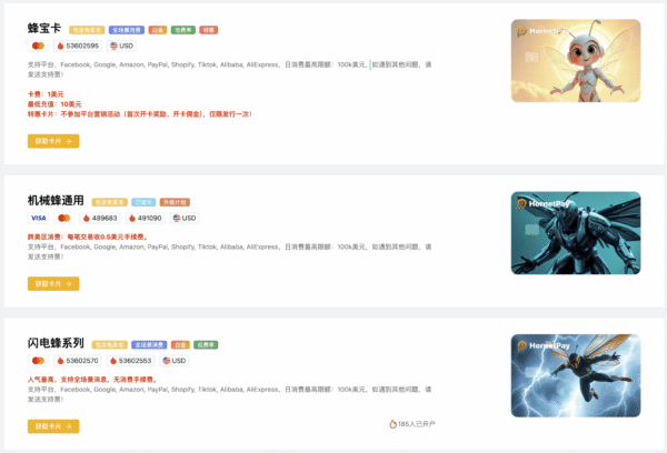 HornetPay 可全场景消费的万事达虚拟卡